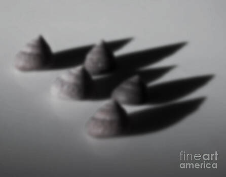 Tim Mulina - Seashells or Kisses Tim Mulina - Seashells or Kisses