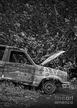Edward Fielding - Serious car trouble in the tropics Edward Fielding - Serious car trouble in the tropics