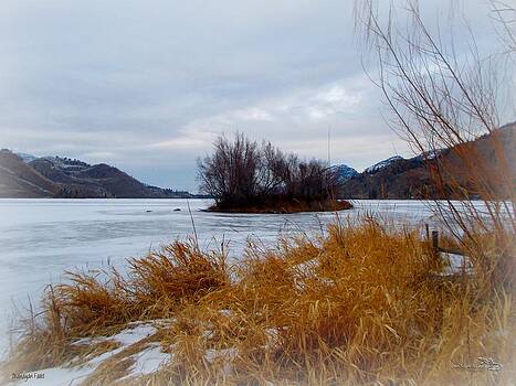 Guy Hoffman - Skaha Island - Okanagan Falls BC 03-02-2014 Guy Hoffman - Skaha Island - Okanagan Falls BC 03-02-2014