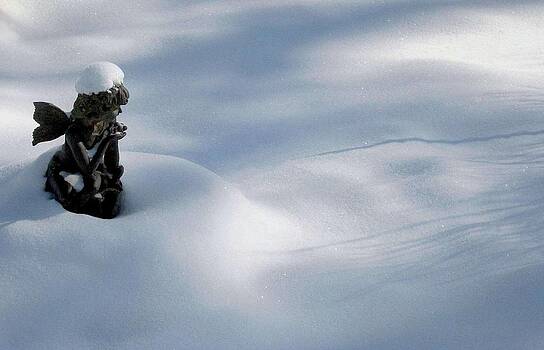 Carolyn Jacob - Snow Angel Carolyn Jacob - Snow Angel
