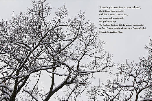 Mother Nature - Snow In The Woods - Lewis Carroll Quotation Mother Nature - Snow In The Woods - Lewis Carroll Quotation