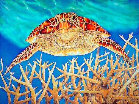 Daniel Jean-Baptiste - Sea Turtle Soaring over Staghorn Daniel Jean-Baptiste - Sea Turtle Soaring over Staghorn