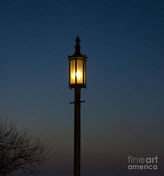 Tim Mulina - Solitary gas light Tim Mulina - Solitary gas light