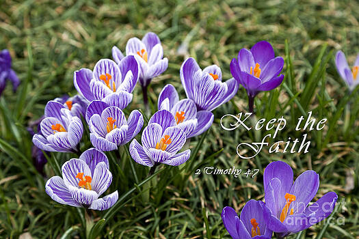 Jill Lang - Spring Crocus with Scripture Jill Lang - Spring Crocus with Scripture