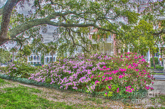 Dale Powell - Spring in Batery Park Dale Powell - Spring in Batery Park