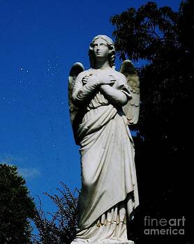 neese katie stillness pyrography angel lost