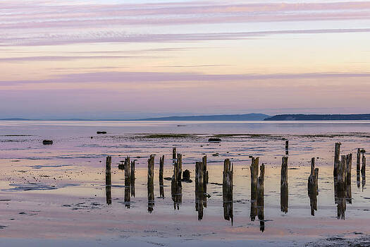 Paul W Sharpe Aka Wizard of Wonders - Summer Colors on Mud Bay Paul W Sharpe Aka Wizard of Wonders - Summer Colors on Mud Bay