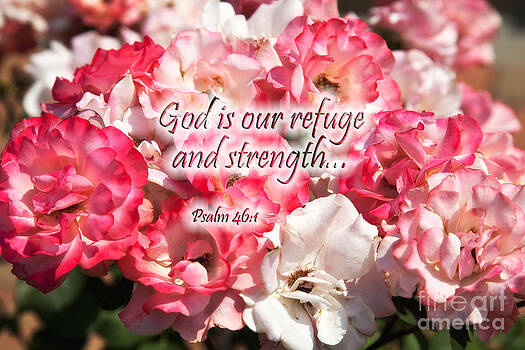 Jill Lang - Summer Roses with Scripture Jill Lang - Summer Roses with Scripture