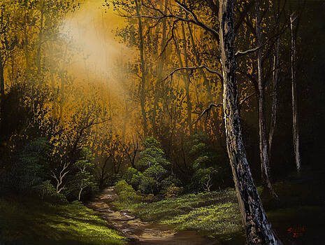 Chris Steele - Sunlit Trail Chris Steele - Sunlit Trail