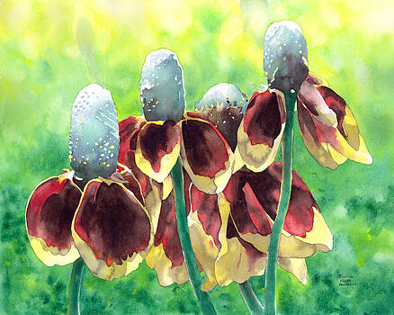 Pauline Walsh Jacobson - Sunny Hats Pauline Walsh Jacobson - Sunny Hats