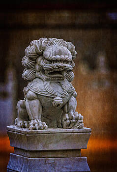 Ray Van Gundy - Sunrise Foo Dog Ray Van Gundy - Sunrise Foo Dog
