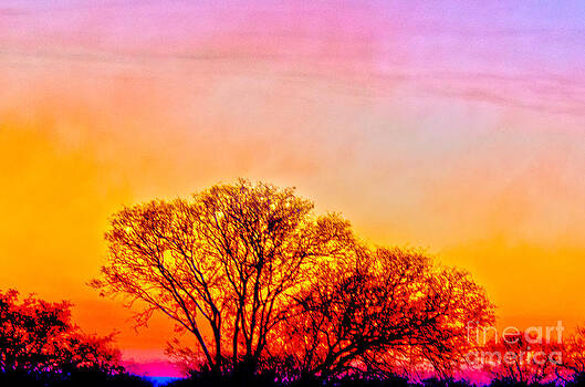 Pravine Chester - Sunrise in Kruger Pravine Chester - Sunrise in Kruger