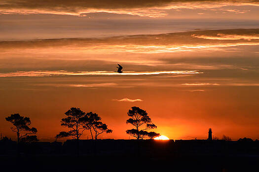 Bill Swartwout Fine Art Photography - Sunrise over Fenwick Island Bill Swartwout Fine Art Photography - Sunrise over Fenwick Island