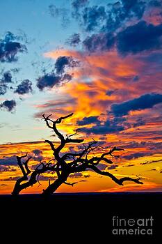 Michael Tidwell - Sunset at Enchanted Rock Michael Tidwell - Sunset at Enchanted Rock