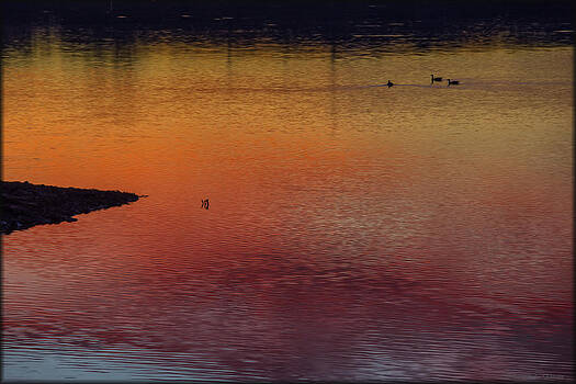 Erika Fawcett - Sunset Ripples Erika Fawcett - Sunset Ripples