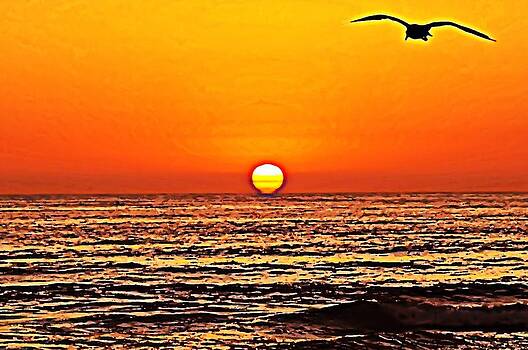Sharon Tate Soberon - Sunset with Seagull Sharon Tate Soberon - Sunset with Seagull