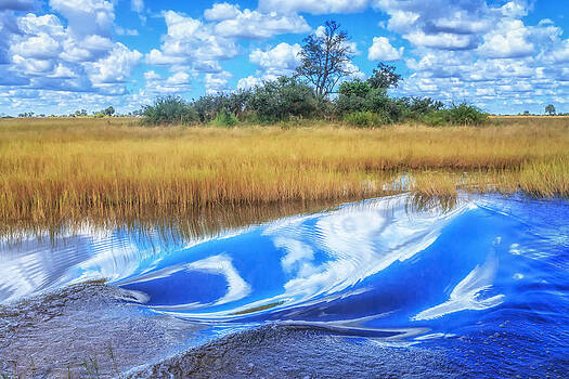 Sylvia J Zarco - Surfing Safari Duba Plains style Sylvia J Zarco - Surfing Safari Duba Plains style