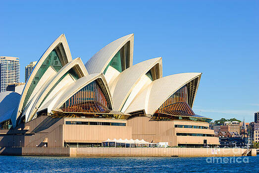 David Hill - Sydney Opera House and Sydney Harbour David Hill - Sydney Opera House and Sydney Harbour
