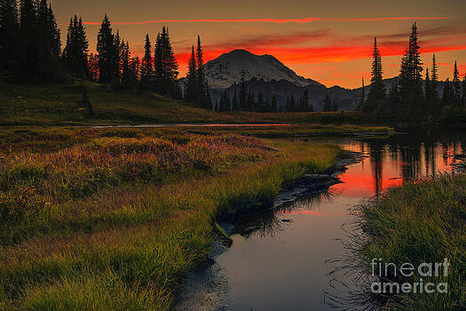 Gene Garnace - Tahoma Gene Garnace - Tahoma