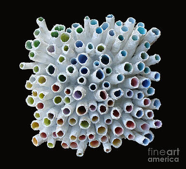 Phyllis Howard - Textured Kaleidoscope- Large Phyllis Howard - Textured Kaleidoscope- Large