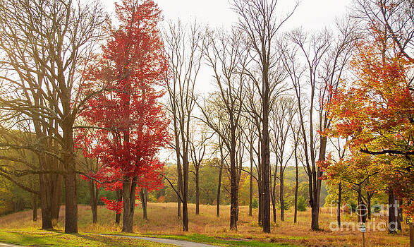 Rima Biswas - The Grove at Valley Forge Rima Biswas - The Grove at Valley Forge