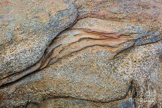 Michelle Constantine - The Heart of Stone Michelle Constantine - The Heart of Stone