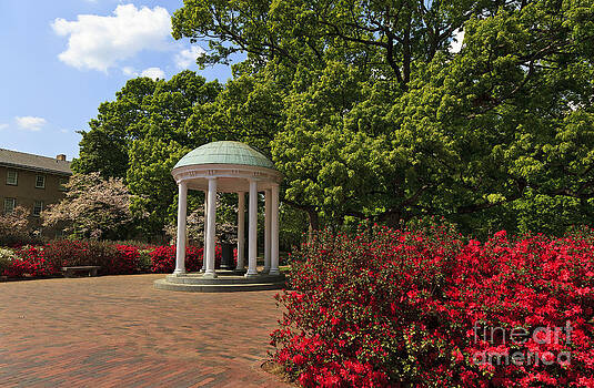 Jill Lang - The Old Well at Chapel Hill Jill Lang - The Old Well at Chapel Hill