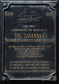 Dale Powell - The Savannah Dale Powell - The Savannah
