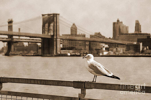 RicardMN Photography - The seagull of the Brooklyn Bridge vintage look RicardMN Photography - The seagull of the Brooklyn Bridge vintage look