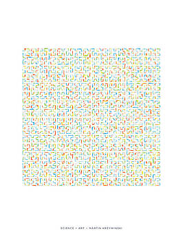 Martin Krzywinski - Three Jittered Hilbert Curves of Order 6 Martin Krzywinski - Three Jittered Hilbert Curves of Order 6