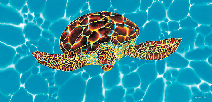 Daniel Jean-Baptiste - Caribbean Sea Turtle Daniel Jean-Baptiste - Caribbean Sea Turtle