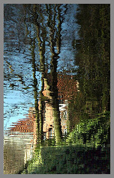 Guy Ciarcia - Trees in the Water Guy Ciarcia - Trees in the Water