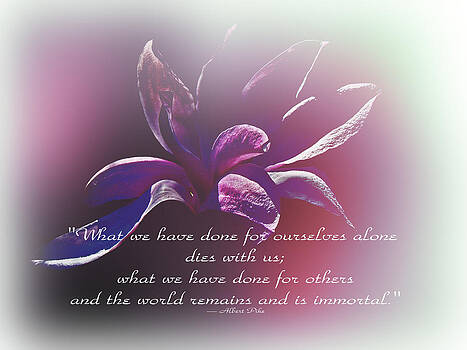 Mother Nature - Tulip Magnolia And Albert Pike Quotation Mother Nature - Tulip Magnolia And Albert Pike Quotation
