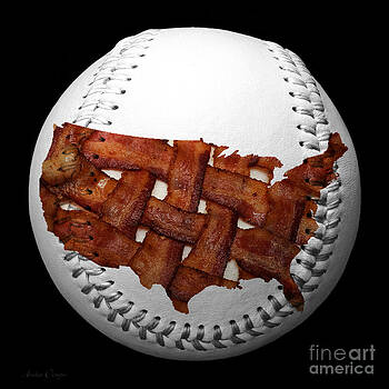 Andee Design - US Bacon Weave Map Baseball Square Andee Design - US Bacon Weave Map Baseball Square