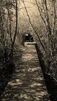 Guy Hoffman - Vaseux Lake Bird Sanctuary HAUNTED Guy Hoffman - Vaseux Lake Bird Sanctuary HAUNTED