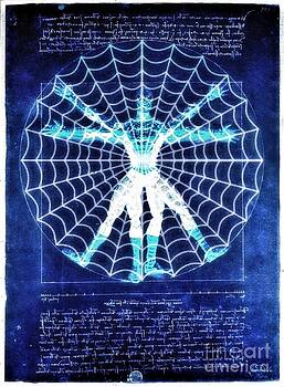 HELGE - Vitruvian Spiderman white in the sky HELGE - Vitruvian Spiderman white in the sky