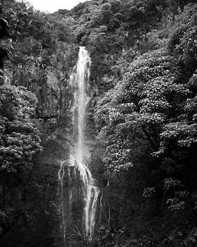 Connie Fox - Waikani Falls at Wailua Maui Hawaii B W Connie Fox - Waikani Falls at Wailua Maui Hawaii B W