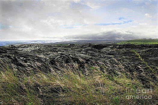 Ellen Cotton - Waves of clouds sea lava and grass Ellen Cotton - Waves of clouds sea lava and grass