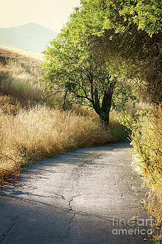 Ellen Cotton - We will walk this path together Ellen Cotton - We will walk this path together