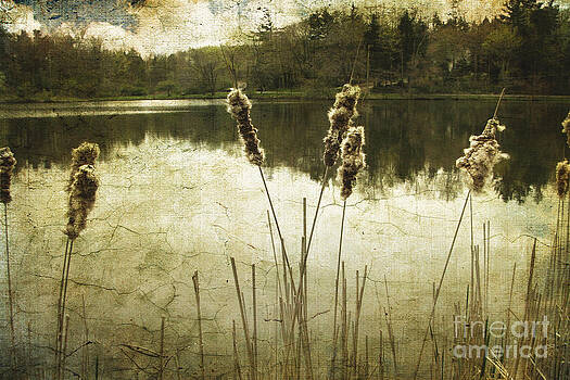 Ellen Cotton - Where Time Stands Still Ellen Cotton - Where Time Stands Still