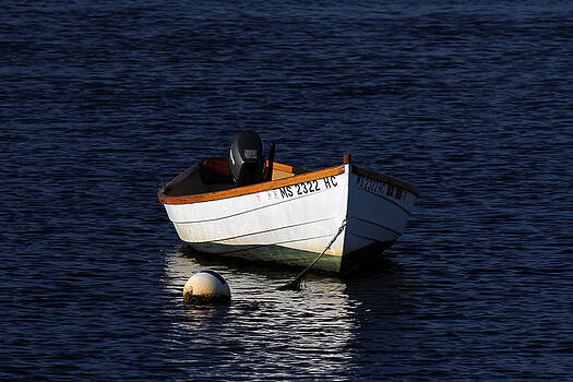 Juergen Roth - White Wooden Dinghy at Pamet Harbor on Cape Cod Juergen Roth - White Wooden Dinghy at Pamet Harbor on Cape Cod