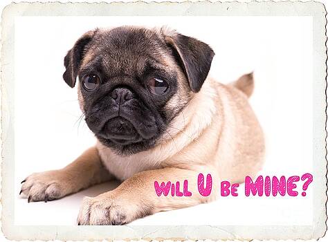 Edward Fielding - Will U be mine? Edward Fielding - Will U be mine?