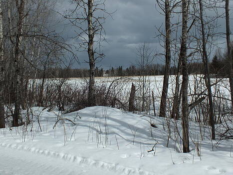 Gene Cyr - Winter Farm Fields Gene Cyr - Winter Farm Fields