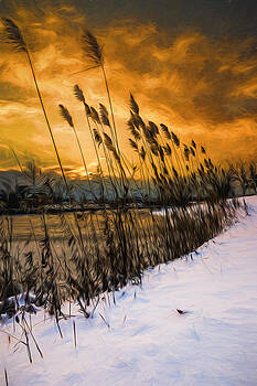 Chris Bordeleau - Winter sunrise through the reeds - Artistic Chris Bordeleau - Winter sunrise through the reeds - Artistic