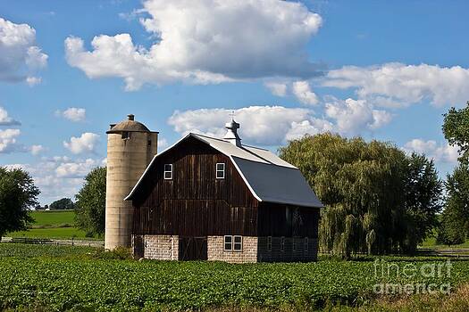 Ms Judi - Wisconsin Old Barn 11 Ms Judi - Wisconsin Old Barn 11