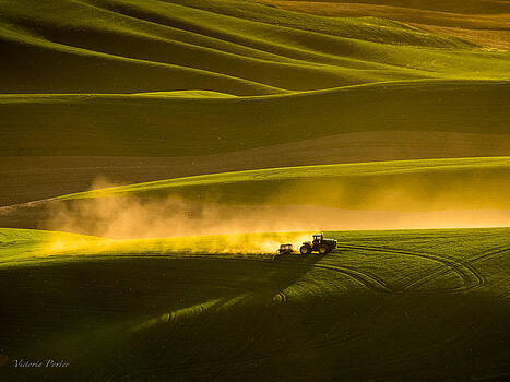 Victoria Porter - Working the fields in the Palouse Victoria Porter - Working the fields in the Palouse