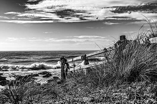 Lara Ellis - Yachats By The Sea Lara Ellis - Yachats By The Sea