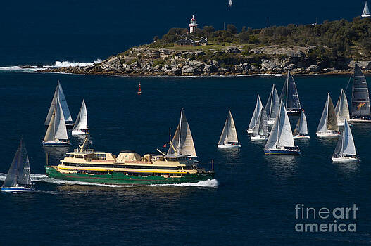 David Hill - Yachts and the famous Manly Ferry on Sydney Harbour with South Head behind David Hill - Yachts and the famous Manly Ferry on Sydney Harbour with South Head behind