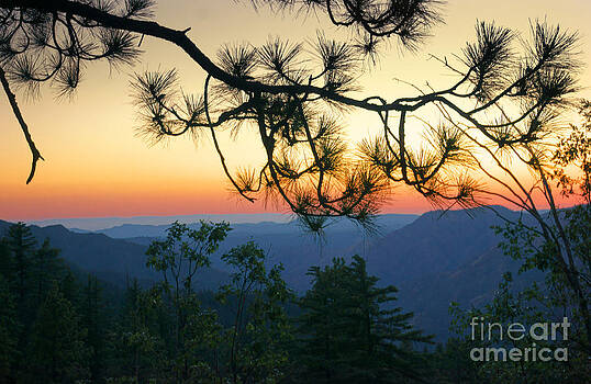 Ellen Cotton - Yosemite Dusk Ellen Cotton - Yosemite Dusk