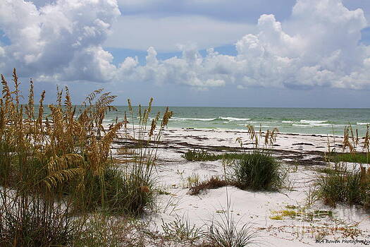 Barbara Bowen - Anclote Key Preserve Barbara Bowen - Anclote Key Preserve